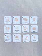 Load image into Gallery viewer, Feelings Friends & Accessories